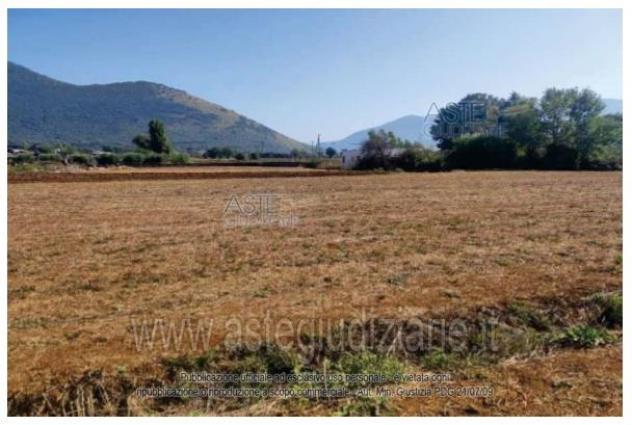 terreno agricolo in vendita a Maenza