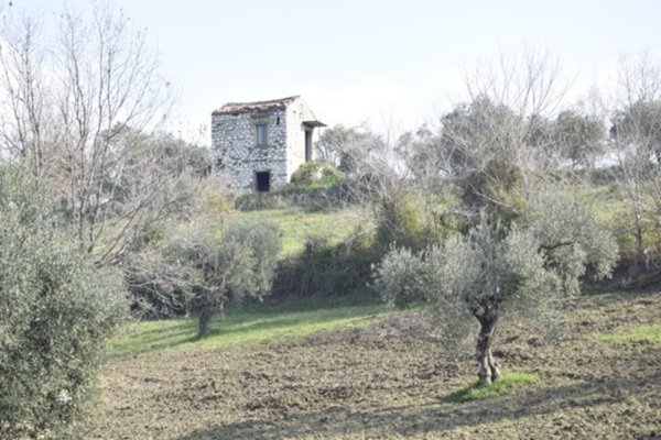 quadrivano in vendita a Minturno in zona Pulcherini