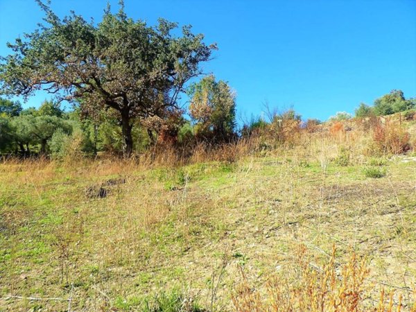 terreno agricolo in vendita a Minturno in zona Pulcherini