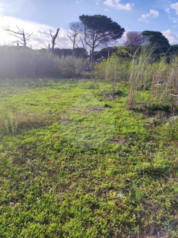 terreno agricolo in vendita a Minturno in zona Marina