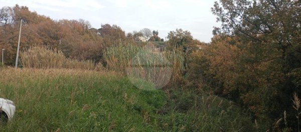 terreno agricolo in vendita a Minturno in zona Tufo