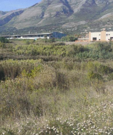 terreno agricolo in vendita a Minturno