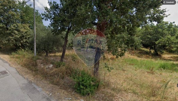 terreno agricolo in vendita a Minturno