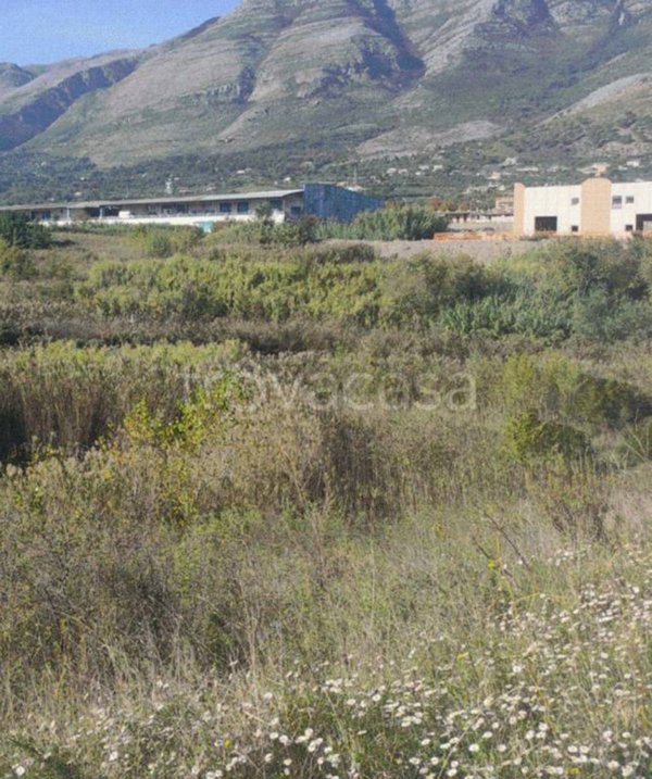terreno agricolo in vendita a Minturno