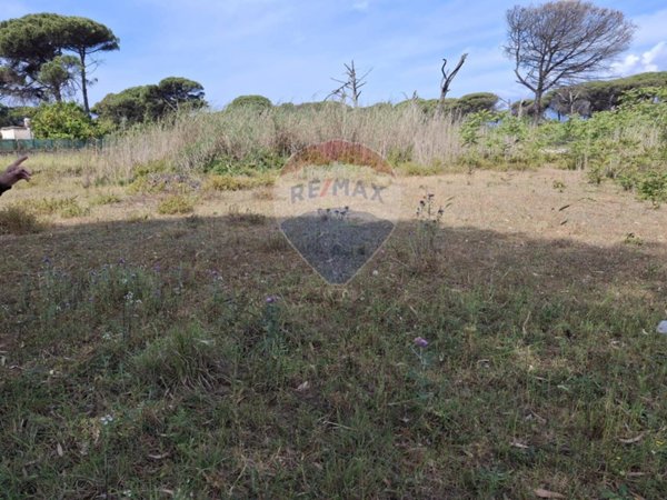 terreno agricolo in vendita a Minturno