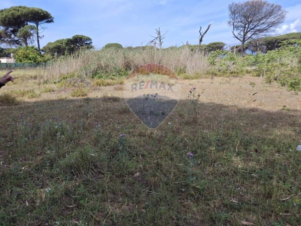 terreno agricolo in vendita a Minturno