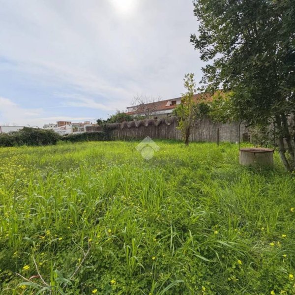 terreno agricolo in vendita a Minturno in zona Scauri
