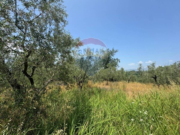 terreno agricolo in vendita a Minturno