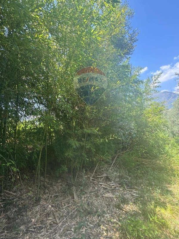 terreno agricolo in vendita a Minturno in zona Tremensuoli