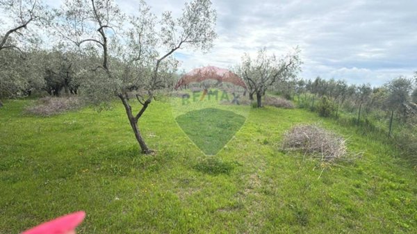terreno agricolo in vendita a Minturno in zona Tremensuoli