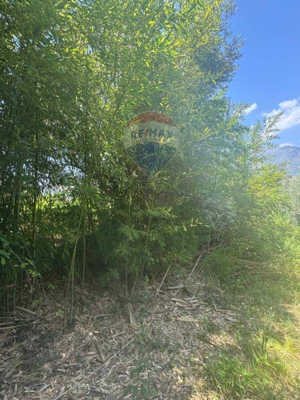 terreno agricolo in vendita a Minturno in zona Tremensuoli