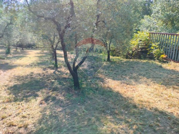 terreno agricolo in vendita a Minturno in zona Tremensuoli