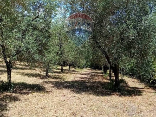 terreno agricolo in vendita a Minturno in zona Tremensuoli