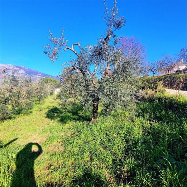 terreno agricolo in vendita a Minturno in zona Scauri