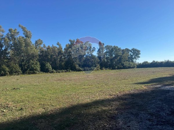 terreno agricolo in vendita a Minturno