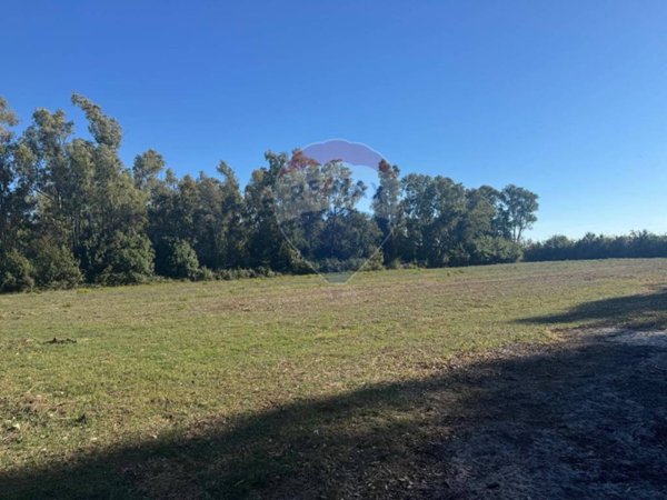 terreno agricolo in vendita a Minturno