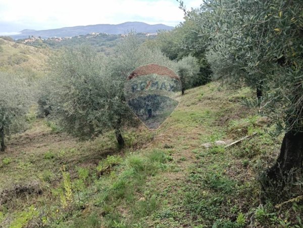 terreno agricolo in vendita a Minturno in zona Scauri