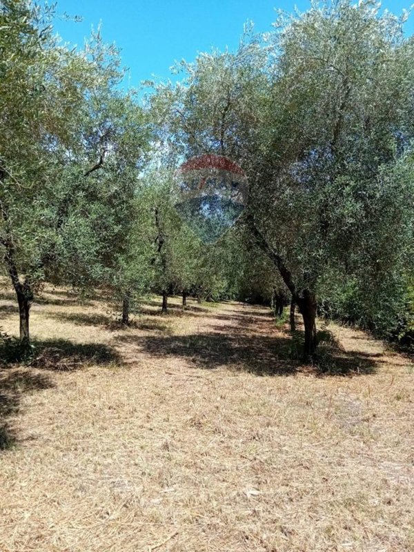 terreno agricolo in vendita a Minturno in zona Tremensuoli