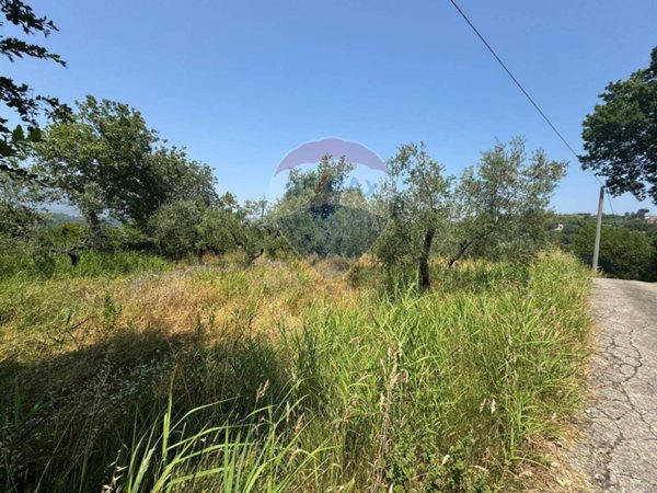 terreno agricolo in vendita a Minturno