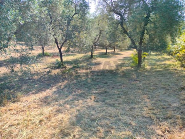 terreno agricolo in vendita a Minturno in zona Tremensuoli