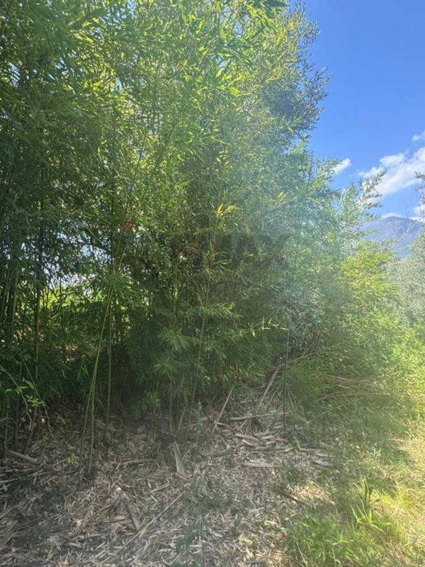 terreno agricolo in vendita a Minturno in zona Tremensuoli
