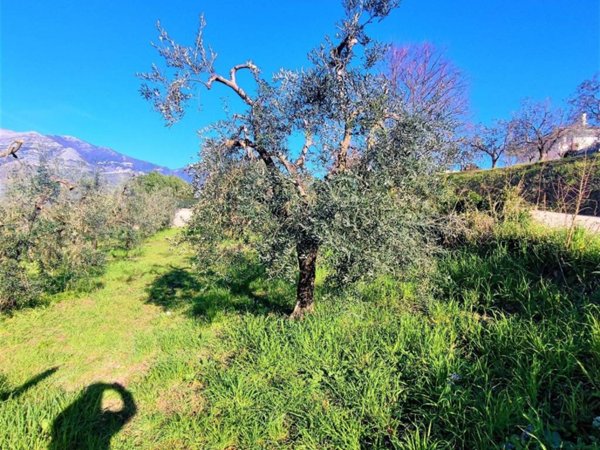 terreno agricolo in vendita a Minturno in zona Scauri