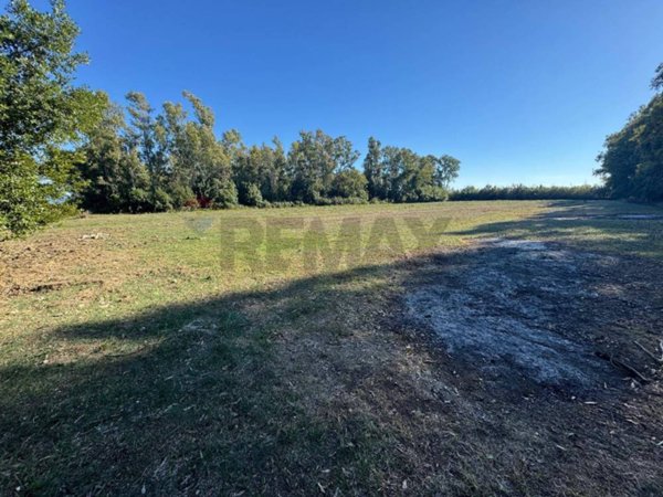 terreno agricolo in vendita a Minturno