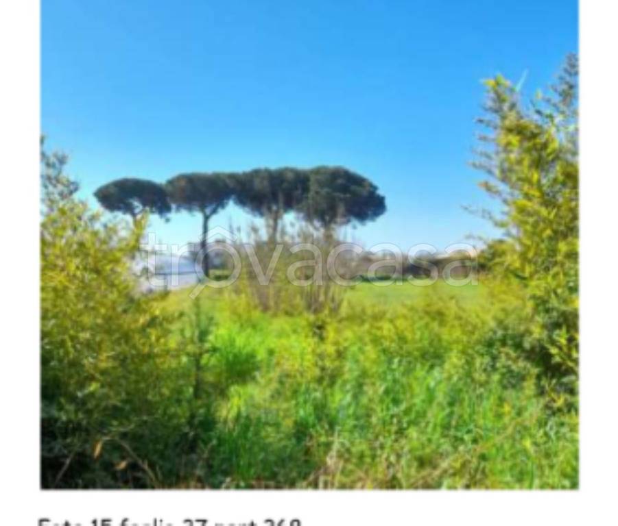 terreno agricolo in vendita a Minturno