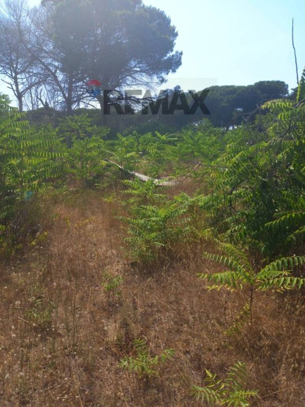 terreno agricolo in vendita a Minturno