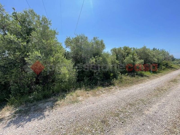 terreno agricolo in vendita a Minturno in zona Scauri
