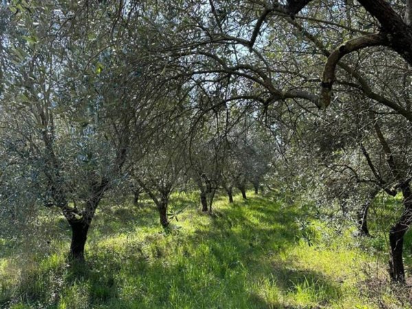 terreno agricolo in vendita a Minturno in zona Tufo