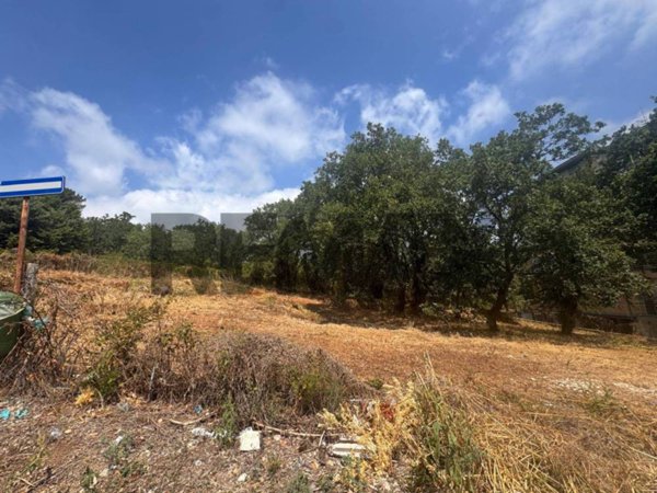 terreno agricolo in vendita a Minturno in zona Marina