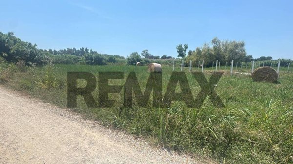 terreno agricolo in vendita a Minturno in zona Marina