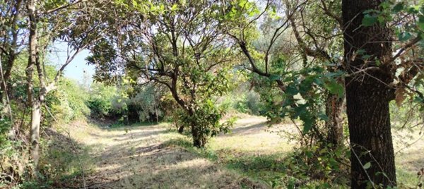 terreno agricolo in vendita a Minturno in zona Marina