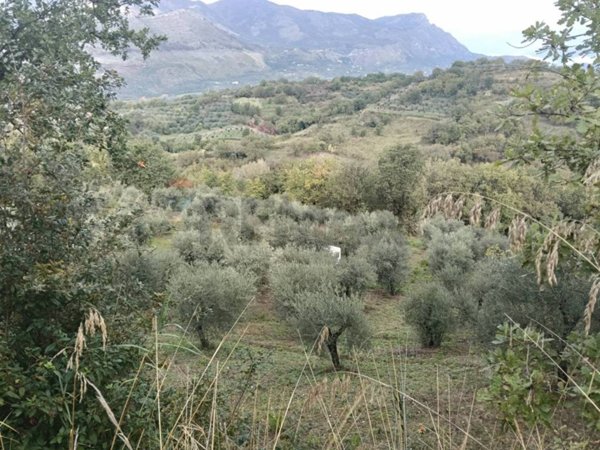 terreno in vendita a Minturno in zona Marina
