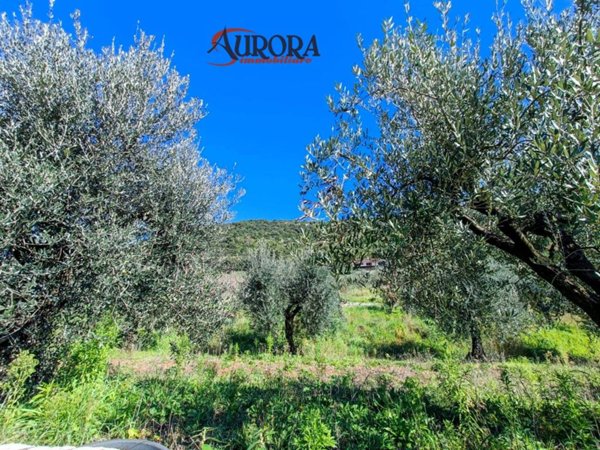 casa indipendente in vendita a Monte San Biagio