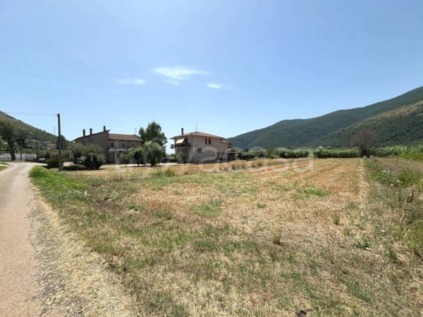 terreno agricolo in vendita a Monte San Biagio