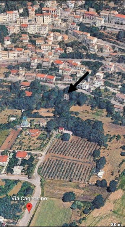 immagine annuncio 0 di 1