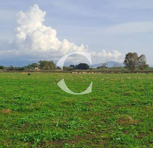 terreno agricolo in vendita a Monte San Biagio