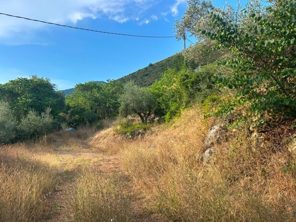 terreno agricolo in vendita a Monte San Biagio