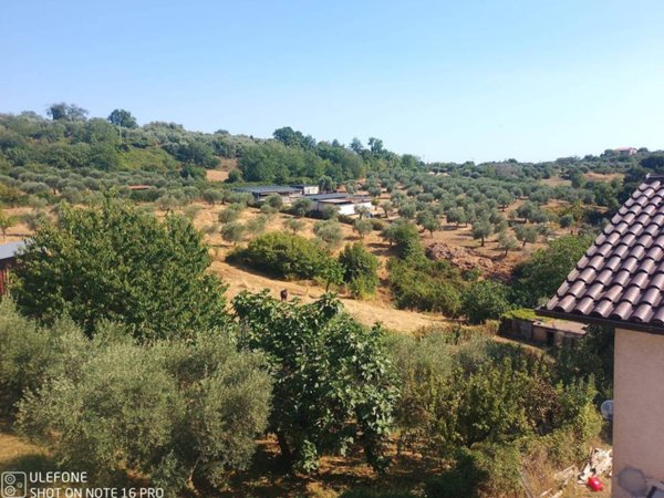 casa indipendente in vendita a Norma