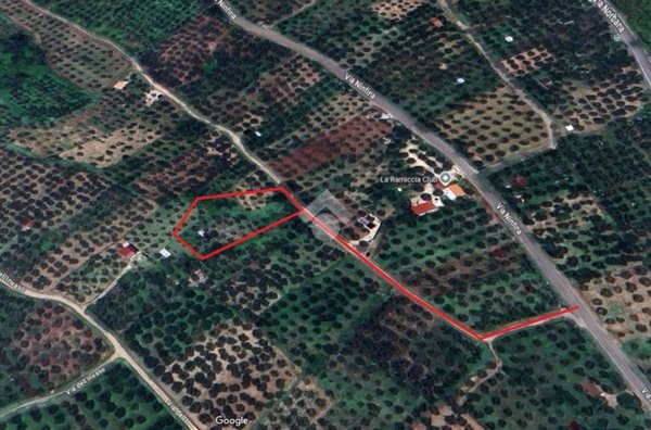 terreno agricolo in vendita a Norma
