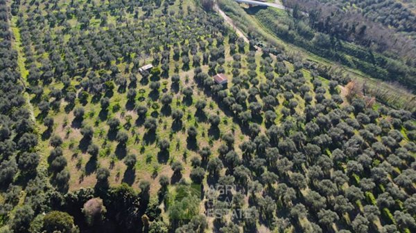 terreno agricolo in vendita a Norma