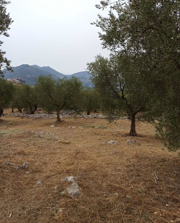 locale di sgombero in vendita a Norma