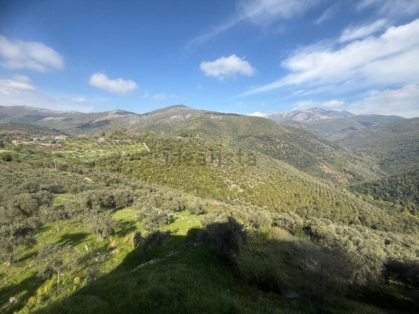appartamento in vendita a Norma