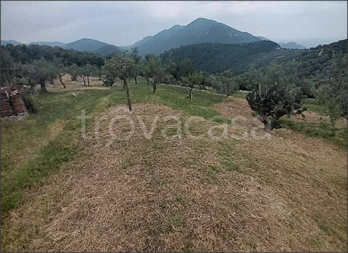 terreno in vendita a Norma