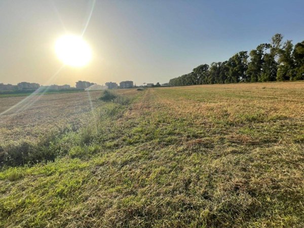 terreno agricolo in vendita a Pontinia