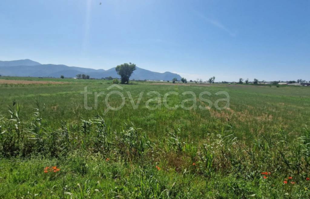 terreno agricolo in vendita a Pontinia