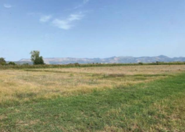 terreno agricolo in vendita a Pontinia