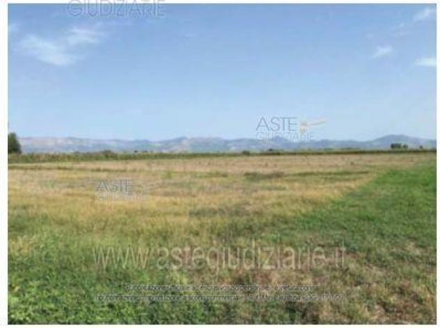 terreno agricolo in vendita a Pontinia